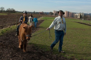 Pony - Bauernhof 