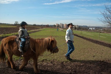 Pony - Bauernhof 