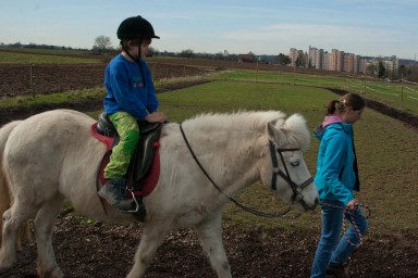 Pony - Bauernhof 