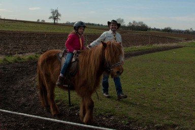 Pony - Bauernhof 