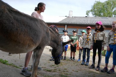 Besuch auf dem Bauernhof