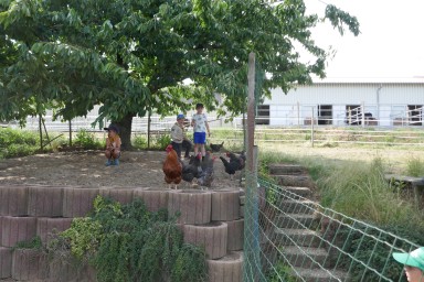 Besuch auf dem Bauernhof